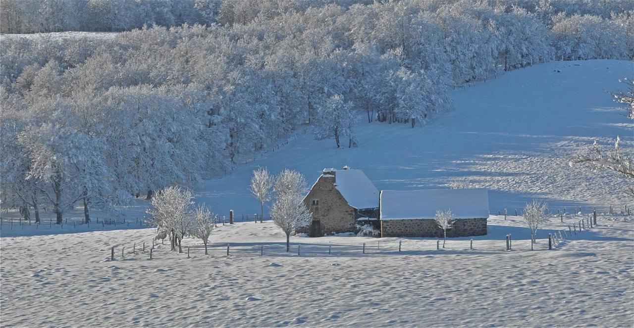 Aux Portes D'Aubrac Studio 2 Personnes Bed & Breakfast Condom-d'Aubrac ภายนอก รูปภาพ