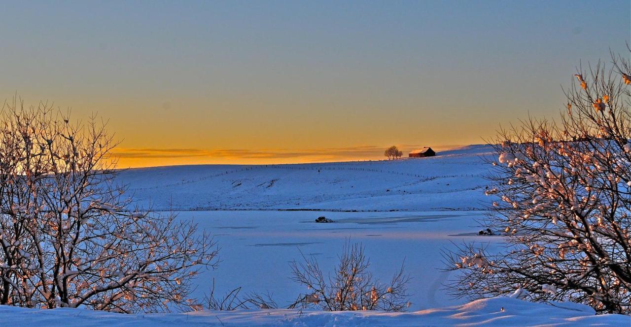 Aux Portes D'Aubrac Studio 2 Personnes Bed & Breakfast Condom-d'Aubrac ภายนอก รูปภาพ